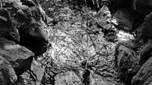 Orientierung-DSC04931-sw-A Steuerberatung