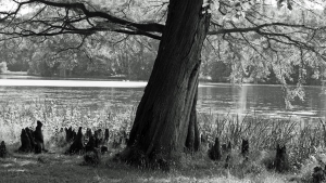 Sicherheit-DSC03920-sw RUNDUM-SORGLOS-STEUERBERATUNG